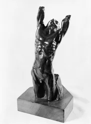 Desperate Adolescent, or Narcissus